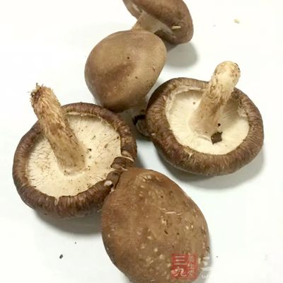 比如说我们经常吃的蘑菇、黑木耳等食物