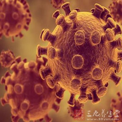 追捕转移癌细胞 癌症治疗或将进入全新世界