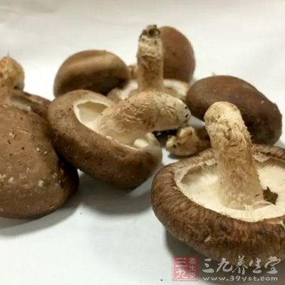 香菇富含维生素