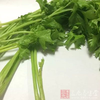 芹菜有明顯的降壓作用，其持續(xù)時間隨食量增加而延長