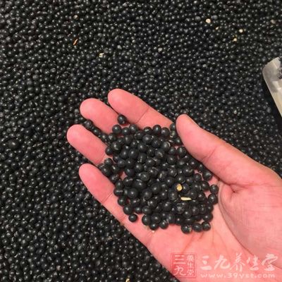 黑豆是不为大多数人所知的绝佳补血食物