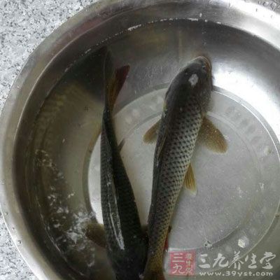 應(yīng)避免或減少食魚、蝦蟹等海味品和刺激性較強(qiáng)的食物