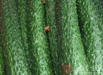 多吃一些对眼睛有力的食物,木耳,黄瓜 多吃一些对眼睛有力的食物,木耳,黄瓜