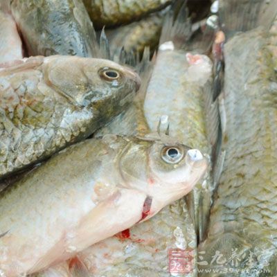 婴儿黄疸 新生儿黄疸怎么治疗(13) - 儿童 - 三九