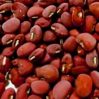红豆沙热量是多少 有哪些营养价值
