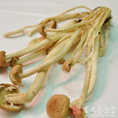 金针菇;泡椒水;盐;香油;醋;白糖;蒜;鸡精;耗油