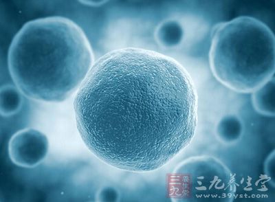 干细胞市场乱象丛生 胎盘干细胞还未用于临床