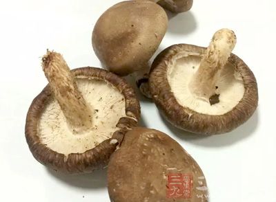 真菌(霉菌):在潮湿空气或居室中容易孳生 真菌(霉菌):在潮湿空气或居室中容易孳生