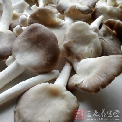 蘑菇中的维生素C比一般水果要高很多