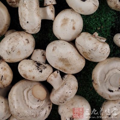 食物中许多菌菇类都含有抗癌物质,能起防癌功效 食物中许多菌菇类都含有抗癌物质,能起防癌功效