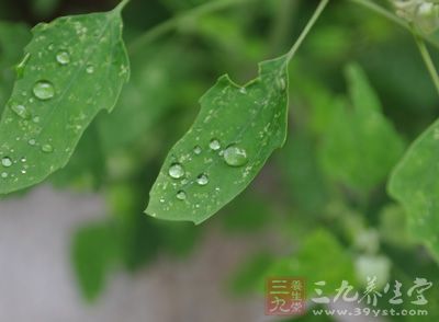 这种潮湿的“回南天”适合细菌的生长繁殖