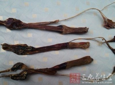 海狗肾是可以当做药物使用的