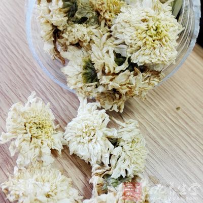 野菊花1～2朵