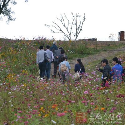 山區(qū)或海濱周圍的空氣中含有較多的陰離子