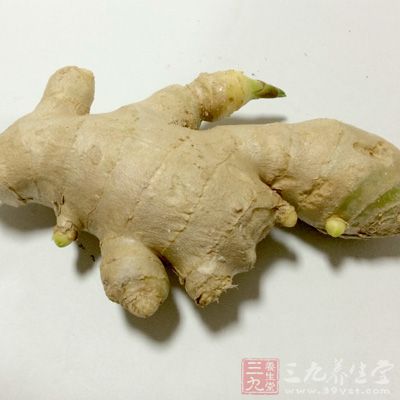 隔姜灸用的姜应选用新鲜的老姜