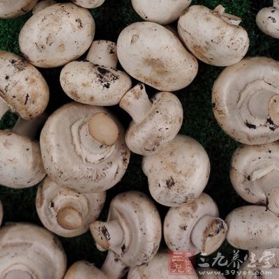 蘑菇汤的做法大全 常吃它补脾益气功效棒 (2)