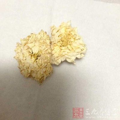 用料：金银花、菊花