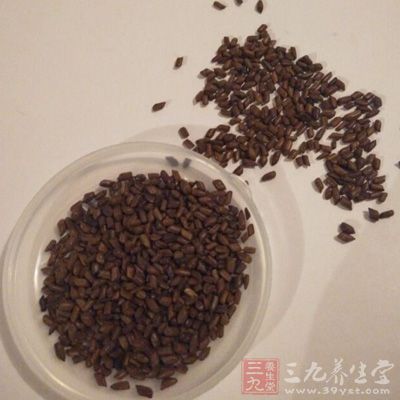 喝決明子泡茶，能夠有效清肝明目，減少肝火旺的情況