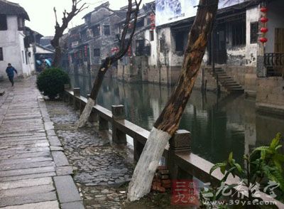 我们时常能看到包裹在干枯树枝上的雾凇 我们时常能看到包裹在干枯树枝上的雾凇