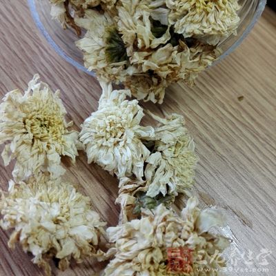 菊花对于我们来说也是在秋天经常会见到的一种花卉