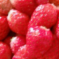 野草莓能吃吗 野草莓的营养很丰富