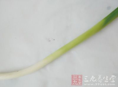 新鮮的香蔥1根