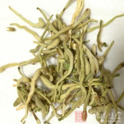 方劑：金銀花10g，野菊花10g，蚤休15g，茯苓10g，甘草3g。