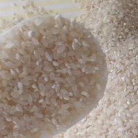 粳米是什么 它有哪些功效与作用