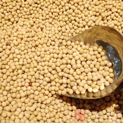 豆类释放出大部份难消化的碳水化合物