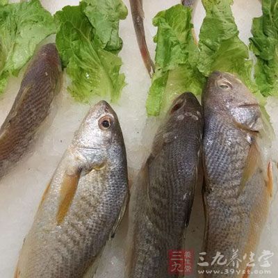 鲈鱼又称花鲈、鲈子鱼。性平，味甘，既能补脾胃，又可补肝肾，益筋骨