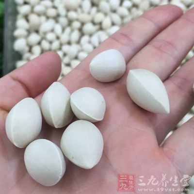 白果茶：白果15克，车前草5克，共煎汤代茶饮