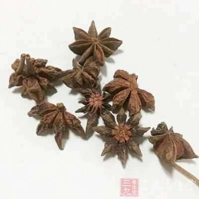 八角5g，去皮蒜仁2粒，姜片5g