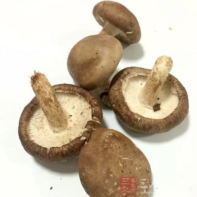 菌类食物如黑木耳、蘑菇、香菇