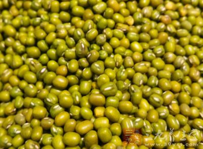绿豆蛋白质含量20%,是大米的3倍 绿豆蛋白质含量20%,是大米的3倍