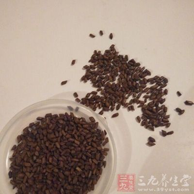 决明子可缓解上火和便秘等症状，还能降血脂，可用来泡茶喝