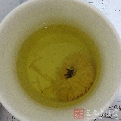 不同菊花泡茶的功效各不同