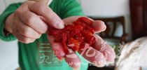 柿子是產(chǎn)自中國的一種食物