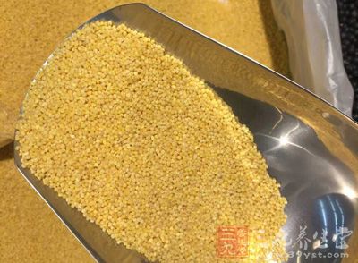 谷类食物是养肝护肝的最好的食物之一，如小米