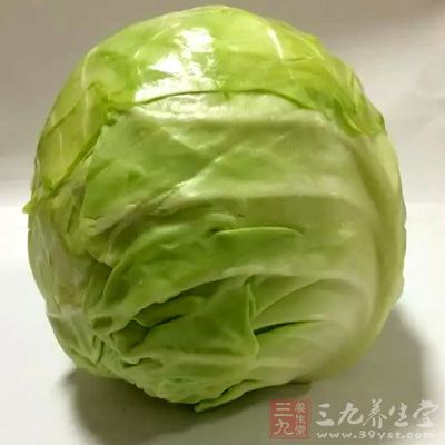 圆白菜亦是开十字花的蔬菜