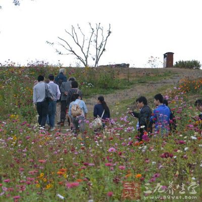 昨天下午，尚文尚愛(ài)心理咨詢?cè)\所工作人員姚伶俐告訴重慶晚報(bào)記者，臨近春節(jié)了，預(yù)約人數(shù)比平時(shí)翻了一番