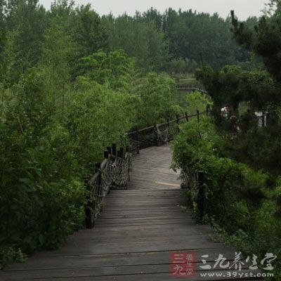 第三，登山。登山是运动量比较大的，