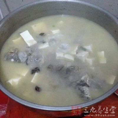 瓜鯇魚尾湯