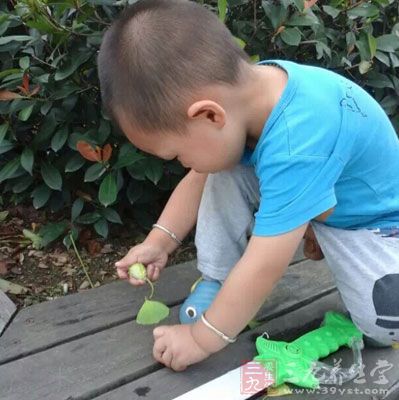 布制、毛绒玩具可直接放置在阳光下曝晒消毒 布制、毛绒玩具可直接放置在阳光下曝晒消毒