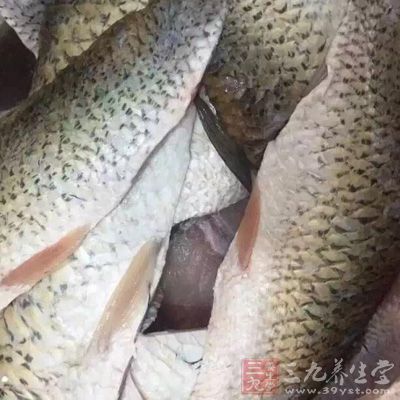 魚、蔬菜、豆制品