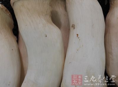 杏鲍菇菌肉肥厚，质地脆嫩