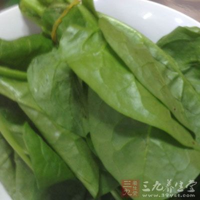 菠菜又稱菠菱菜，是有名的補(bǔ)血食物