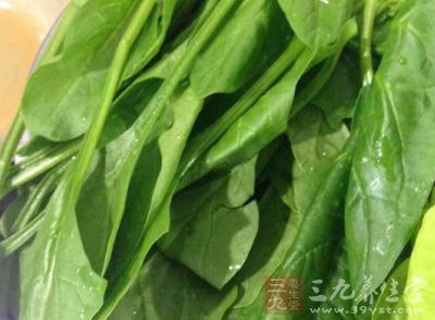 菠菜含有丰富的维他命A、维他命C及矿物质