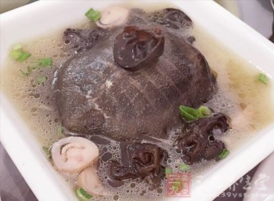 含精氨酸量很高及大量的滑黏物质的食物有鳖