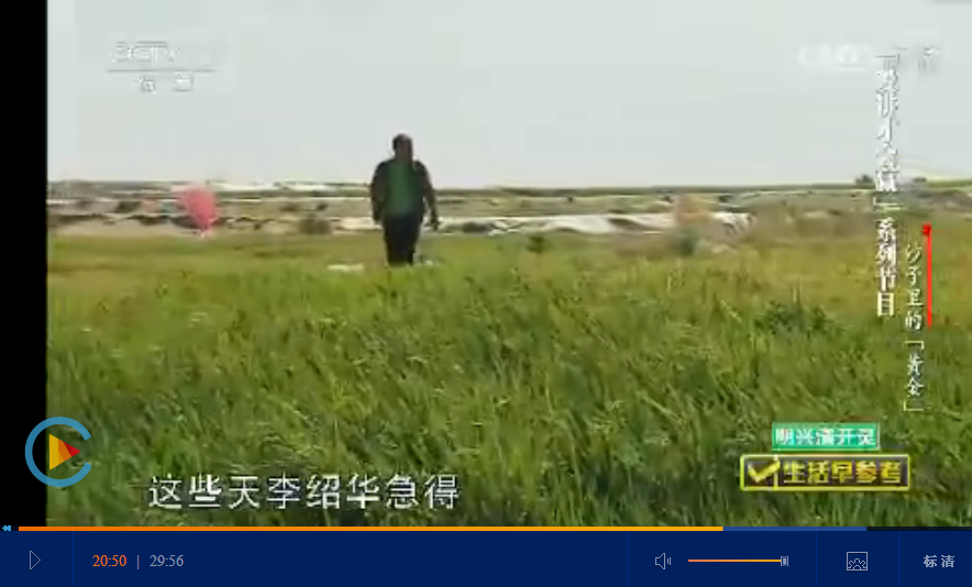 20151012cctv1生活早参考：水稻种植技术