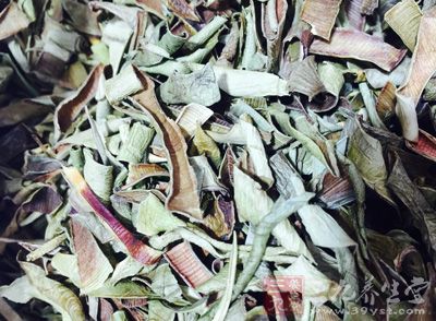 大青叶(鲜品)100-300克